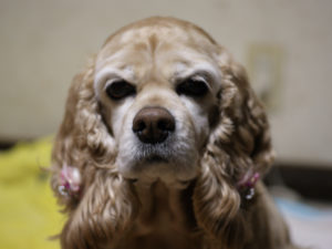 名称未設定3.001